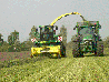 Biogassilage